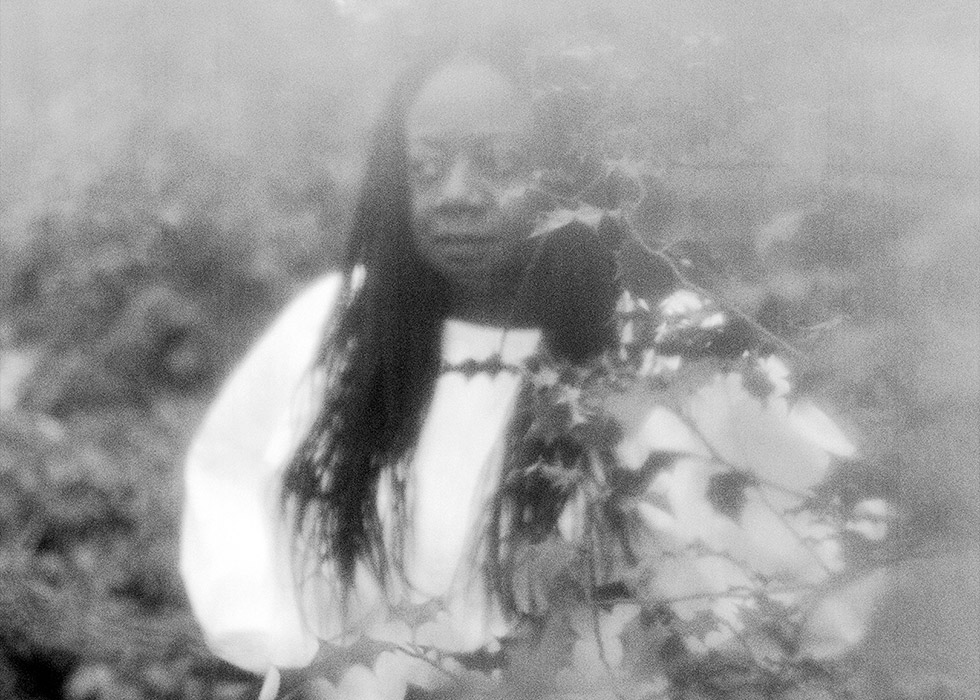 Dianne Minnicucci Artist Residency