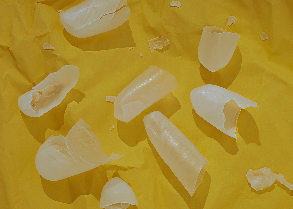 What Language Do You Dream in?