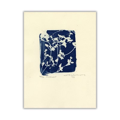 Joy Gregory, Chickweed, 2017
